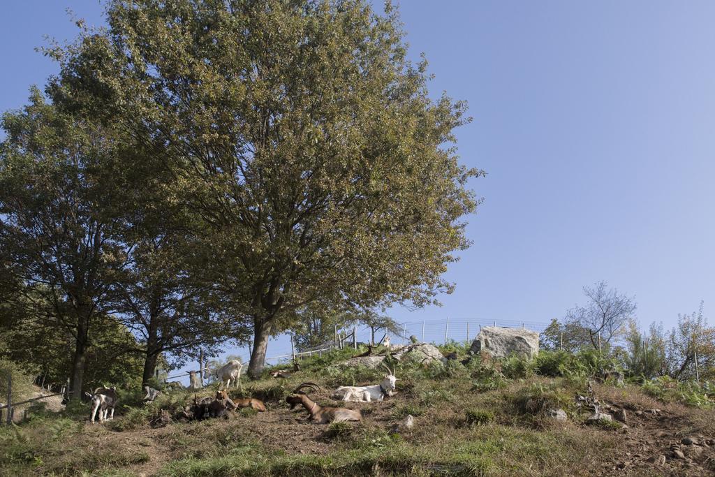 Agriturismo Da Attilio Cannobio Exterior foto