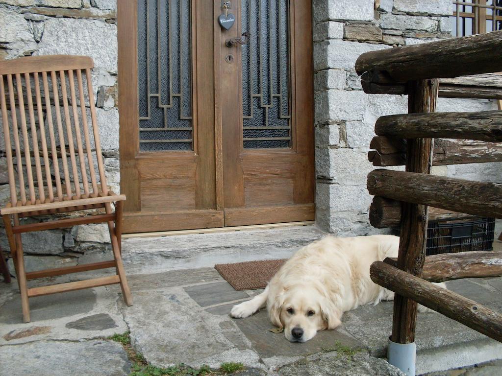 Agriturismo Da Attilio Cannobio Quarto foto
